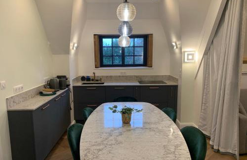 La Chaumière Luxury Domain with 2 Apartments Spa and Pool near Disneyland - Foto 64