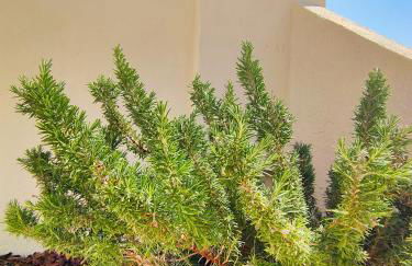 Da Mimma di Casa Camilla Journey - Foto 26