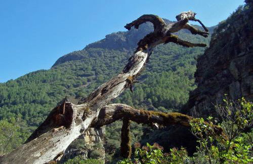 Apartamento La Muralla - Foto 16