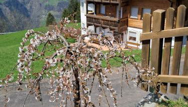 Unterkirnhof - Foto 3