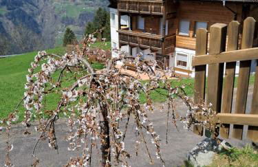 Unterkirnhof - Foto 3