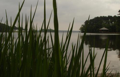 Lake Palestine Family Getaway with Waterfront Deck - Foto 26