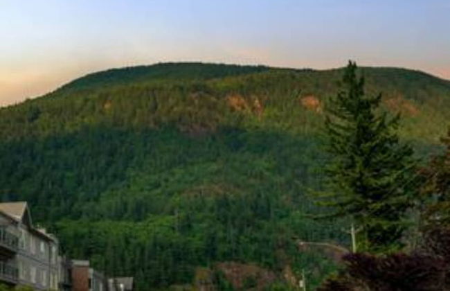 Penthouse Lake Home 3BR Amazing View - Photo 42