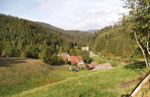 Ferienwohnung-Schoenmuenzblick-Urlaub-im-Nationalpark-Schwarzwald-Schwarzwald-Plus-inklusive - Photo 27