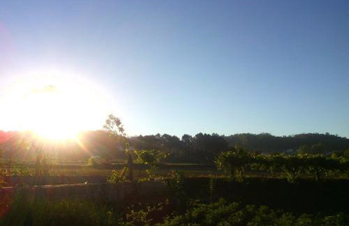 Casa d'Alvite - Arouca - Photo 26