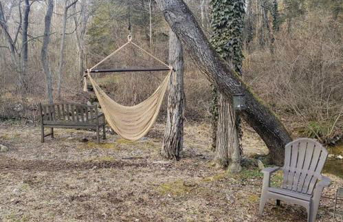 Waterfront Cabin 20 Mins to National Park & Massanutten! - Foto 20