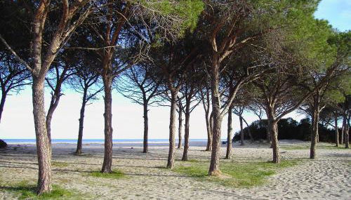 Casetta sul Mare - Foto 3