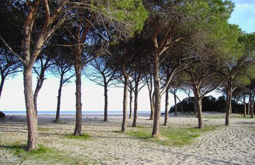 Casetta sul Mare - Foto 3