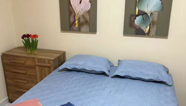 casa em Brotas 08 - Foto 2