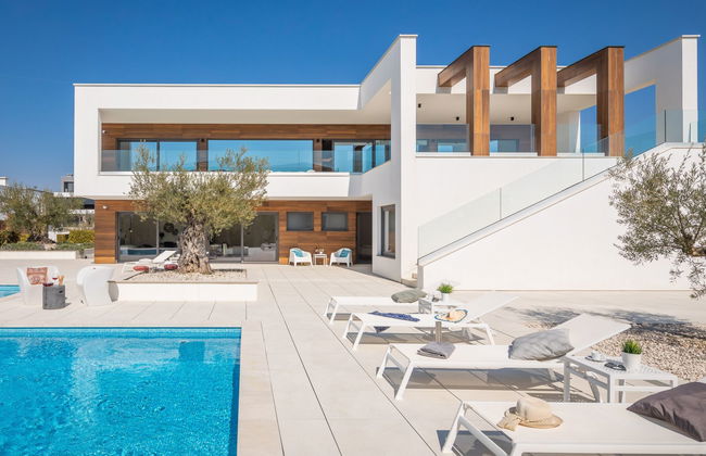 Old Olive VIII - Foto 43