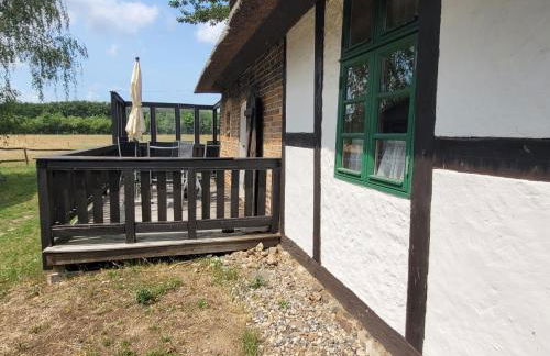 Ferienhof Schwalbennest OFC 24 - Foto 71