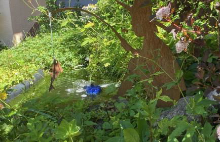 Ferienwohnung Schauberger - Foto 33