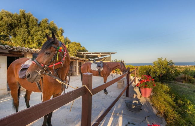 Agriturismo Val di Noto - Foto 41