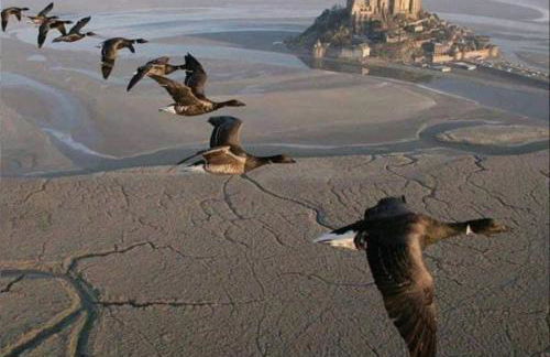 La Maison des Dunes - Foto 34