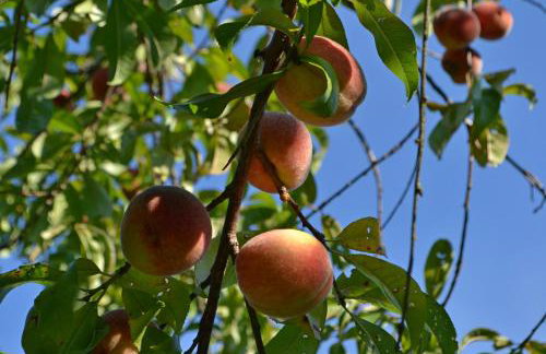 Na końcu świata - Foto 44