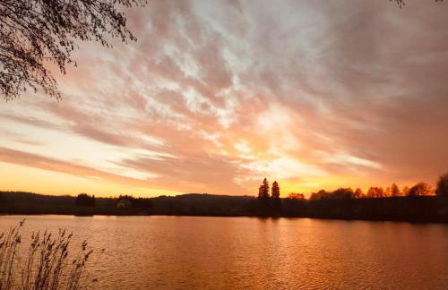 Park Wilkasy - Foto 14