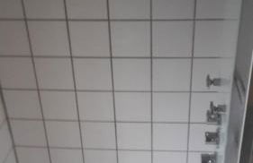 Les Hirondelles - Foto 24