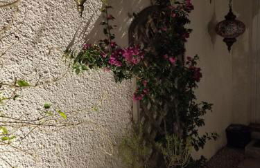 Belle villa classée 4 étoiles proche plage avec jardin - Foto 26