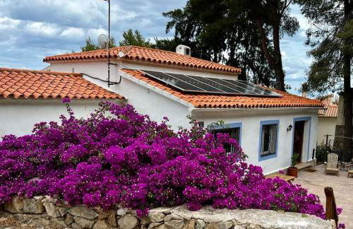 House with swimming pool and amazing sea and mountain views in Montgó, Denia - Photo 49