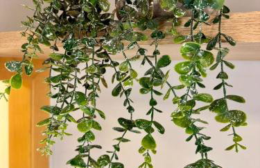 Studio Contemporâneo - Centro RJ - Foto 19