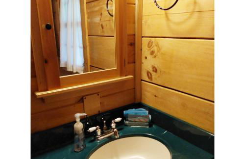Cabin on the Hill-Peaceful 1BR 20-Acre Rural Retreat-HotTub&WiFi near Asheville - Foto 7