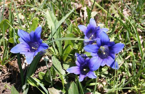 Haus Eicher - Foto 35