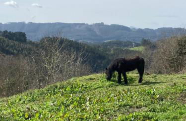 Lekunberri Baserria - Foto 11