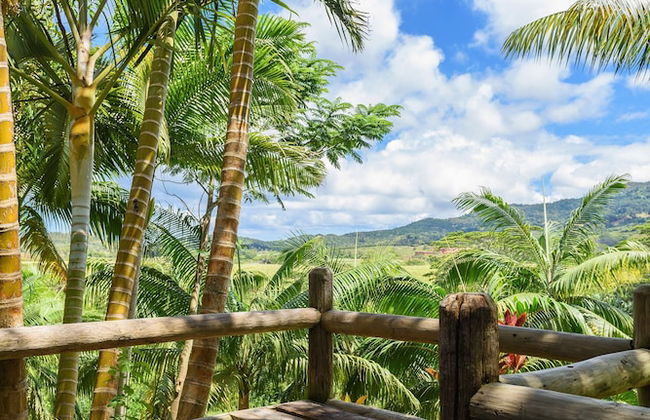 La Vieille Cheminee - Photo 51