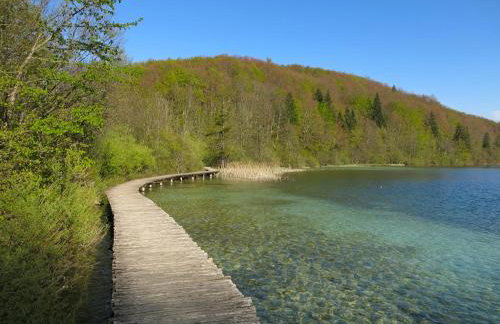 Apartment Majetić - Foto 22