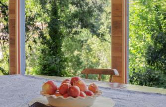 Cozy Riverfront Cabin Just Steps to the Russian River with Beach Access & Wood Stove - Foto 11