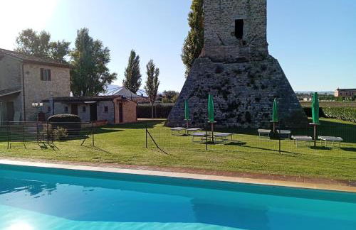 Pietra Rosa - Foto 8