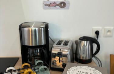 Maison des Larris - proche Aéroport - navette Gare - Foto 19