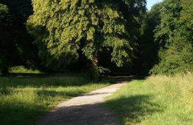 Apartment Fewo Central - Foto 17