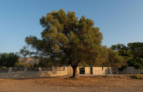 AGROTOPIA Guesthouses - Foto 44