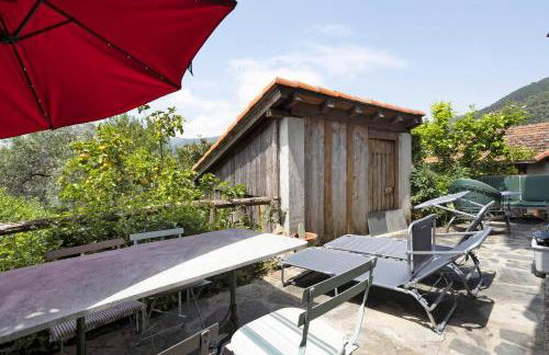 Green Cactus House - Foto 24