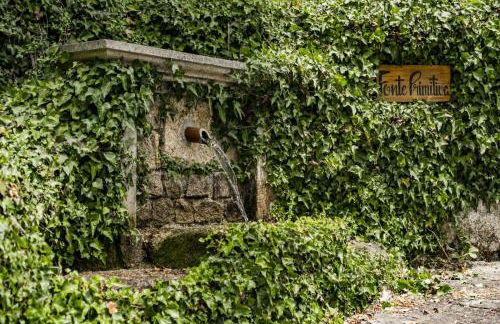 Quinta das Fontes - Alojamento Rústico Local e Turismo Rural - Foto 16