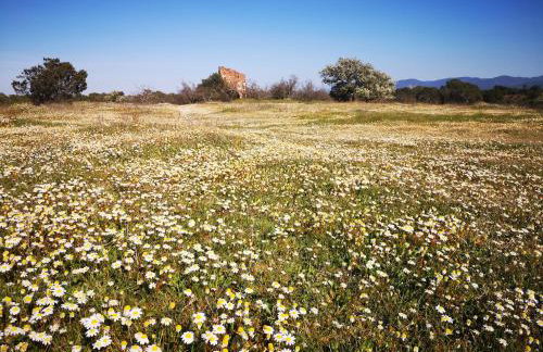 Le Nid des Maures - Foto 30
