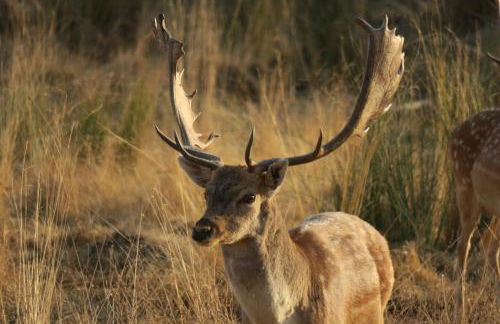 Herdade dos Abegões - Foto 34