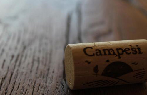 Agriturismo Campesi casale tra le vigne - Photo 70