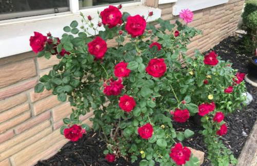 Adorable Buckeye Lake Cottage - Foto 43