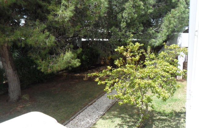 T3 Sra da Rocha by Casas & Papéis - Foto 13