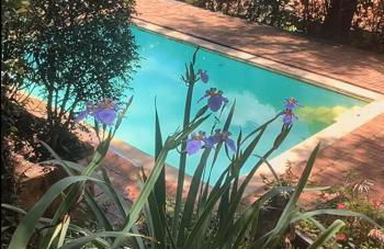 Casa Francesa da Mata com Piscina no Retiro do Chalé Inhotim - Foto 67