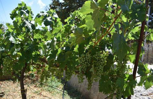 Traditional Villa with pool in Sfakia - Photo 23