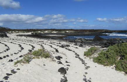 MarySol 6 terrace with sea views, close to the sea - Foto 55