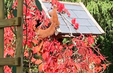 Tornower Waldhäusl, perfekt gelegen 60 km vor Berlin, auf der Schwelle zum Spreewald und nahe Tropical Islands - Foto 19