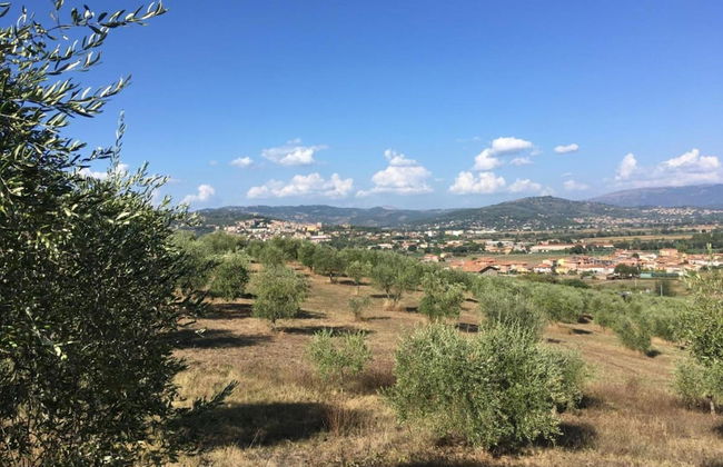 Cottage in Magione Near Lake Trasimeno - Photo 48