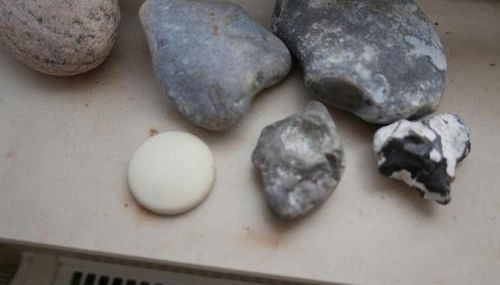 Ferienwohnung Prophet - Foto 4