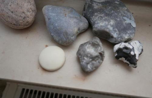 Ferienwohnung Prophet - Foto 4