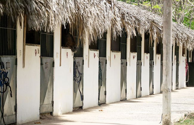 Club Hemingway - Foto 50