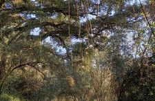 Love Tomar - Foto 48